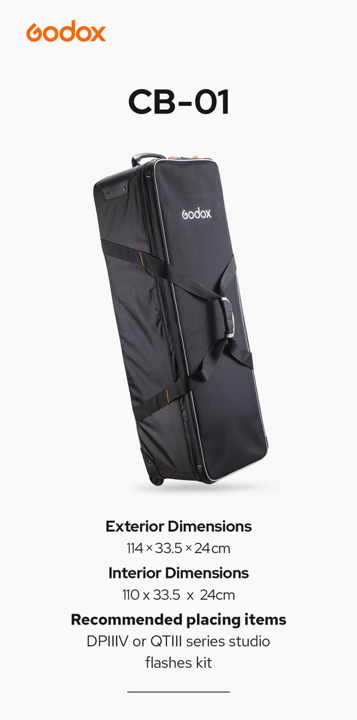 Godox CB-01 carrying bag