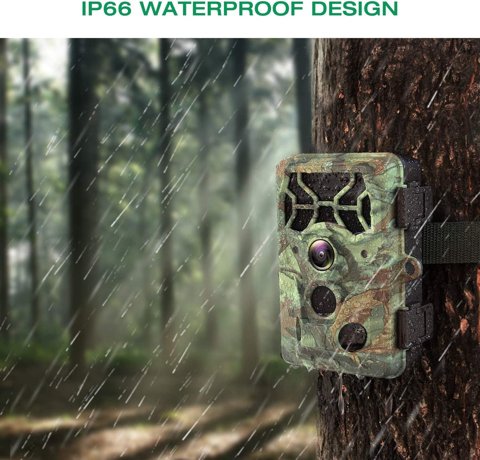 Campark T100 mounted on a tree in the rain, showing IP66 waterproofing Campark T100 mounted on a tree in the rain, showing IP66 waterproofing