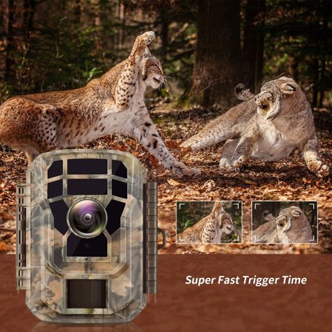 Campark T20 mounted in undergrowth demonstrating fast trigger speed Campark T20 mounted in undergrowth demonstrating fast trigger speed