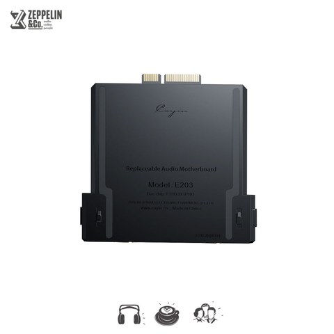 Rear view of the Cayin E203 module showing the DAC chip label