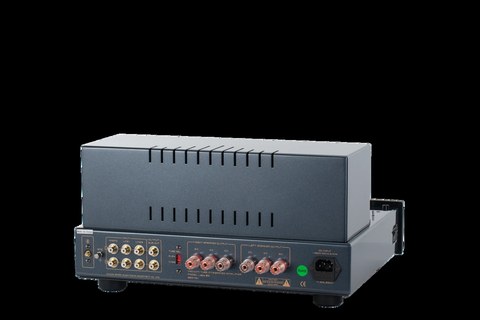 Rear panel of the Cayin Jazz 90 showing separate 4-ohm and 8-ohm speaker terminals Rear panel of the Cayin Jazz 90 showing separate 4-ohm and 8-ohm speaker terminals