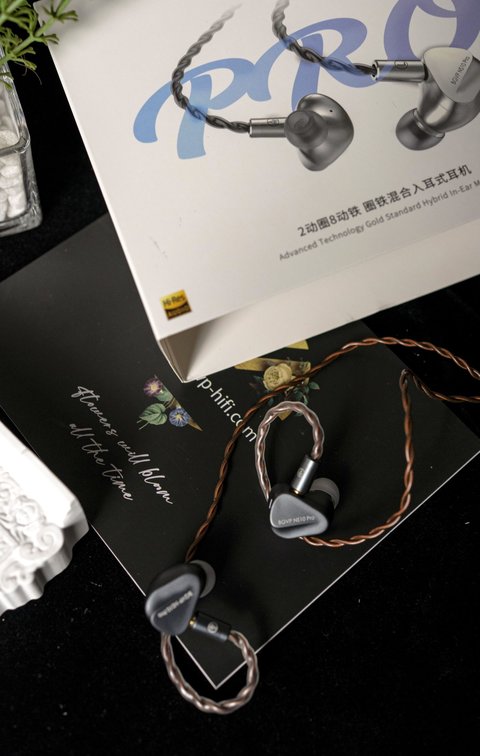 BGVP NS10 Pro earphone with retail box BGVP NS10 Pro earphone with retail box