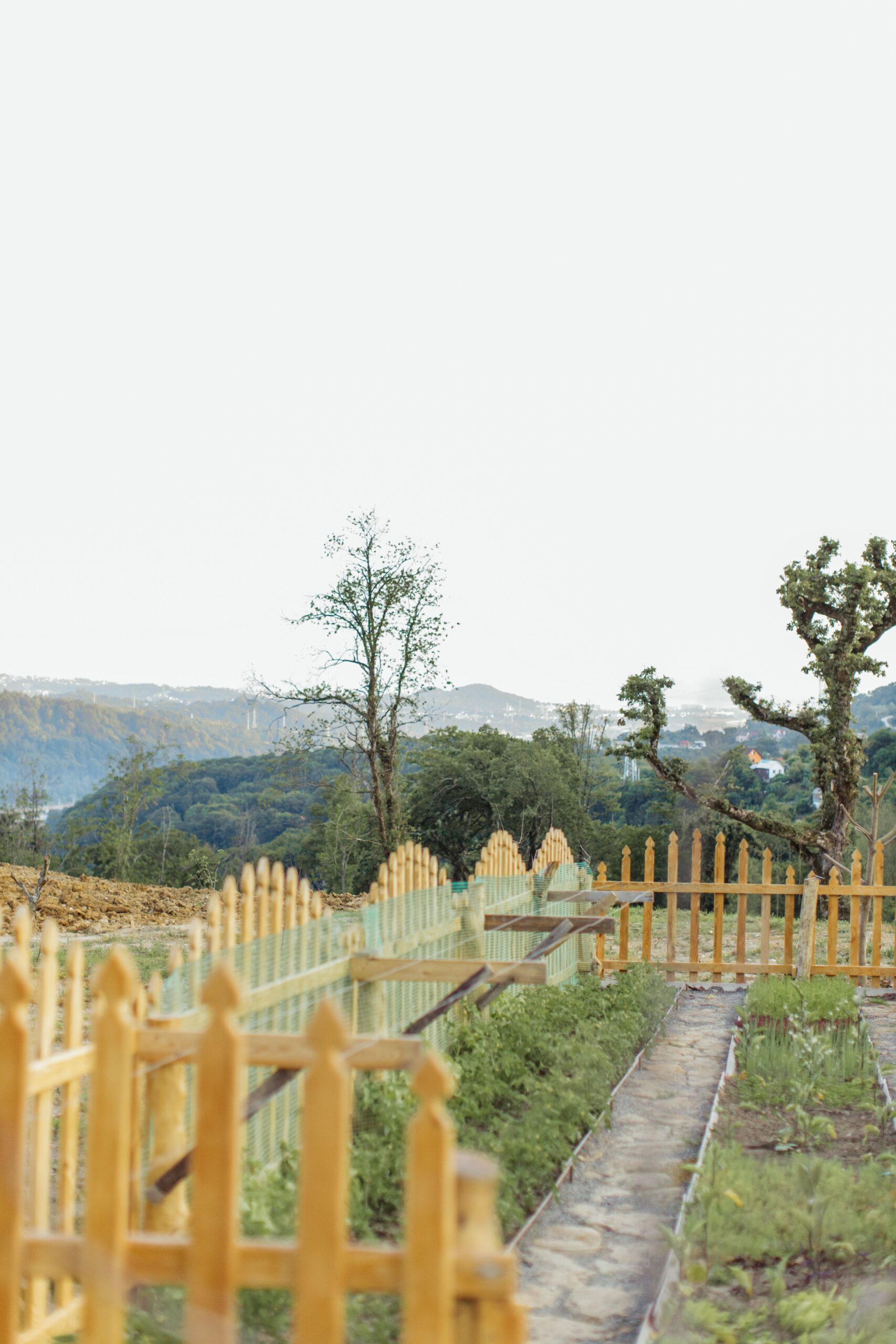 Wooden fence in a garden, a typical outdoor camera coverage area Wooden fence in a garden, a typical outdoor camera coverage area