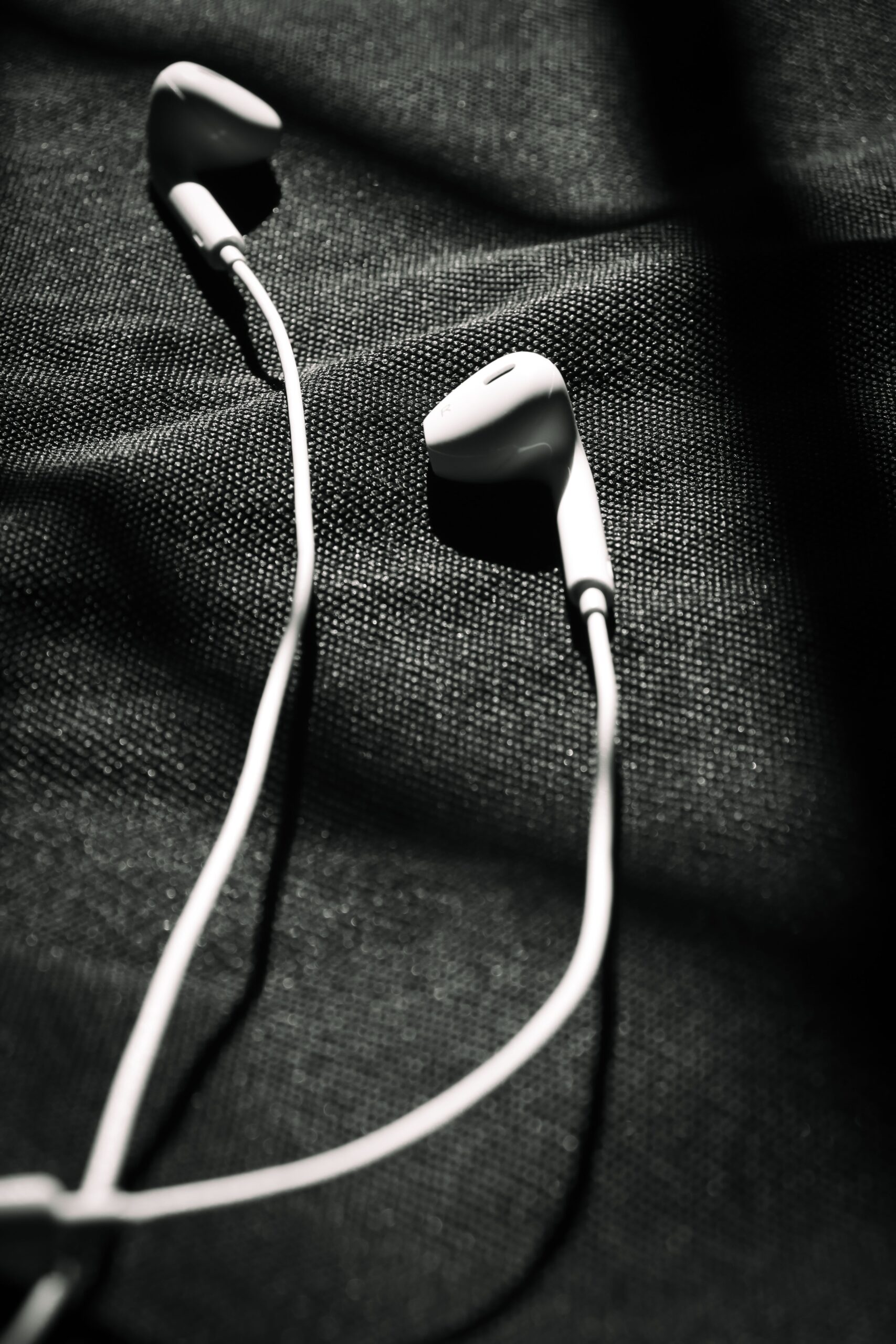 Close-up of black and white in-ear earphones Close-up of black and white in-ear earphones